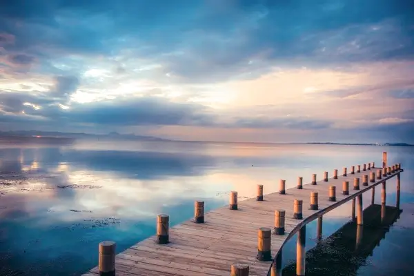 弘正教育是哪个平台