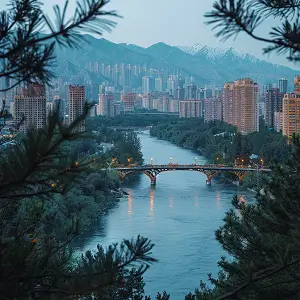 孱字笔顺怎么写，正确写法详解